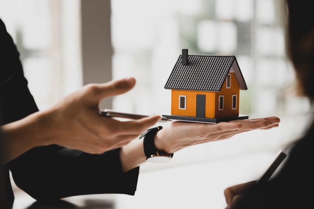 How To Sell A Moldy House Fast In Virginia
